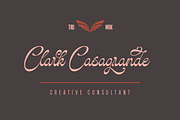 Glaritza Script, a Script Font by Suza Studio (Thumbnail 7 of 10)
