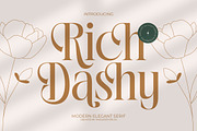 Rich Dashy Modern Elegant Serif, a Script Font by timelesstype.co (Thumbnail 1 of 20)