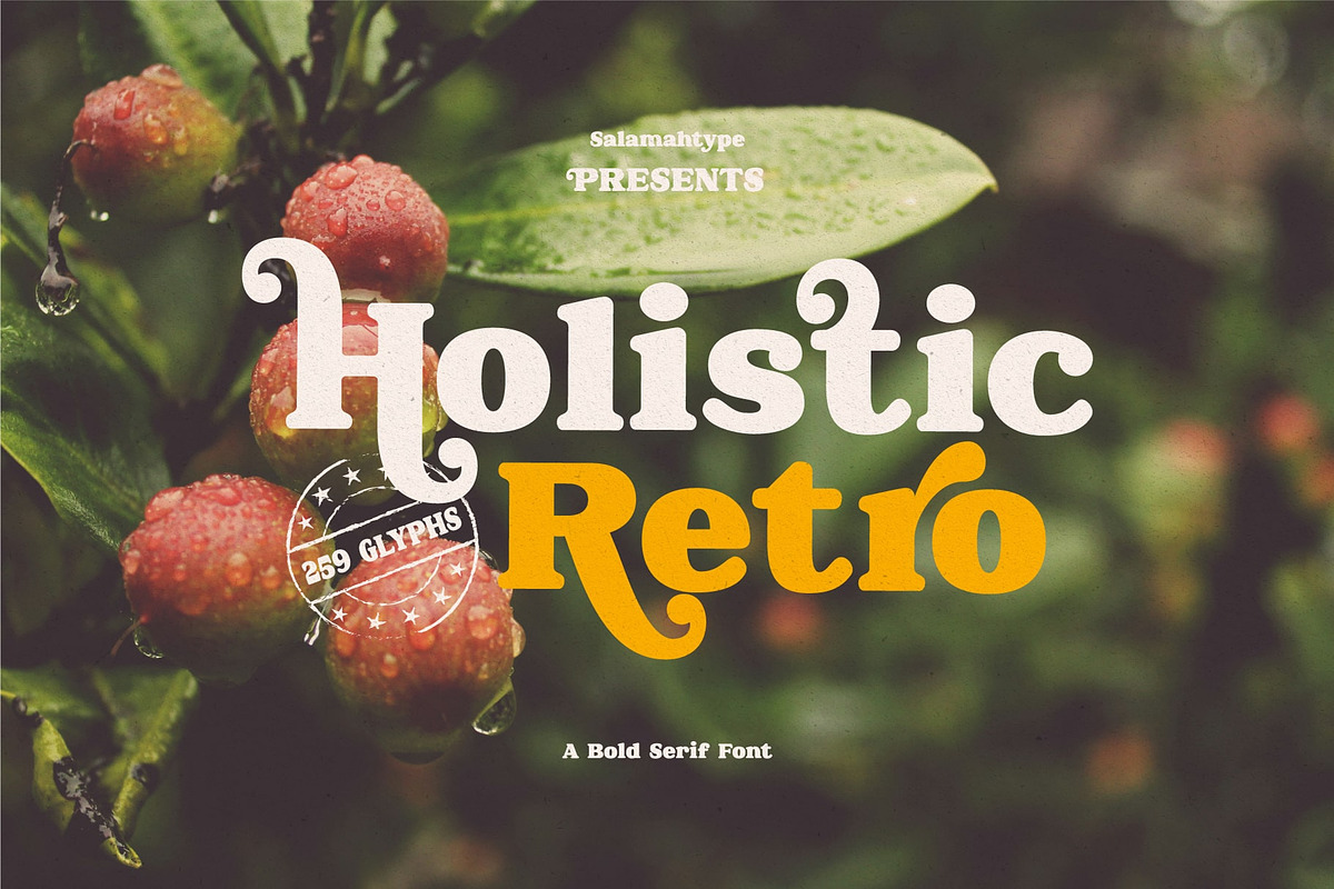 Holistic Retro – Bold Serif Font, a Serif Font by Salamahtype (Photo 1 of 8)