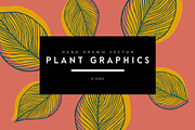 Vector Plant & Leaf Graphics, a Background Graphic by Dorey Kronick Art&Design (Thumbnail 1 of 19)
