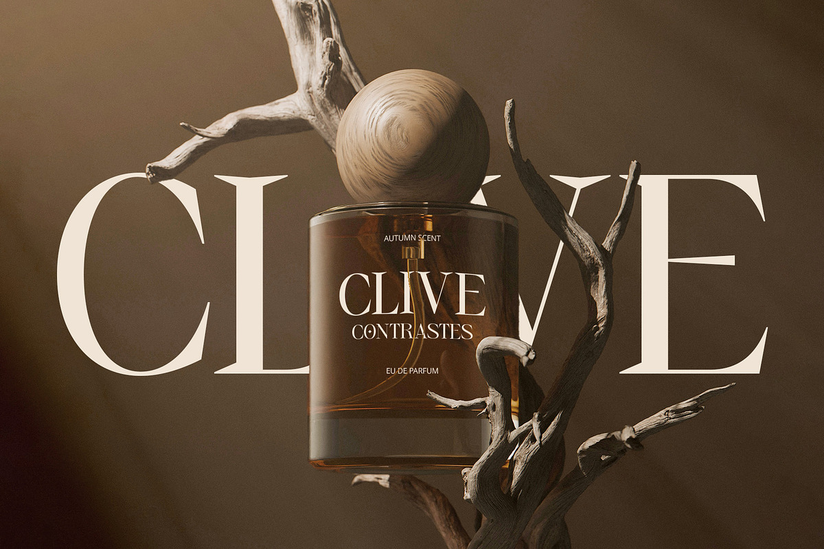 CS Romina – Elegant Font, a Serif Font by Craft Supply Co. (Photo 5 of 8)