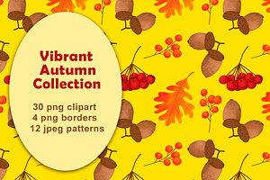 Fall Mushrooms Clipart and Patterns