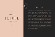 Deluce - Luxury Serif Font, a Serif Font by Craft Supply Co. (Thumbnail 3 of 14)