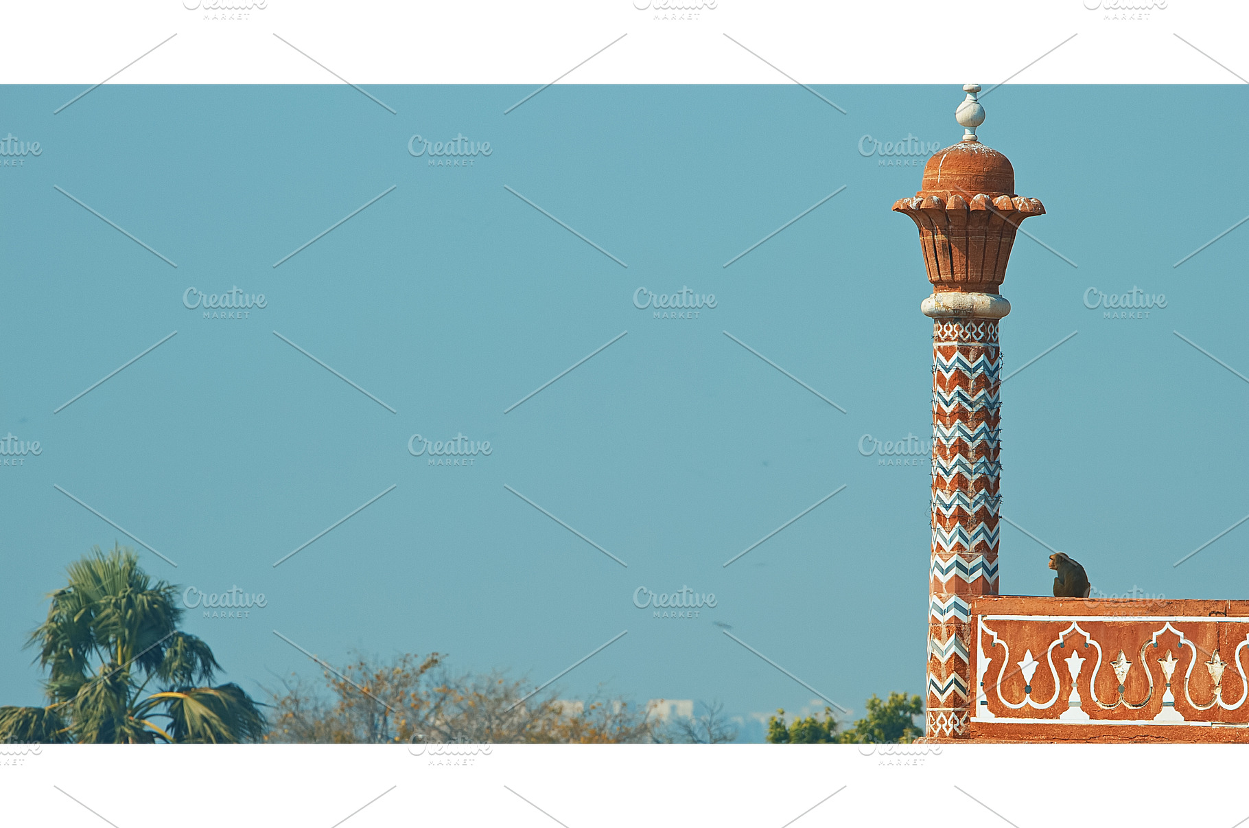 Agra, Uttar Pradesh, India. Monkey, an Architecture Photo by Our Amazing World