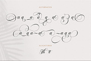 Bailenson, a Script Font by Pista Mova (Thumbnail 9 of 11)