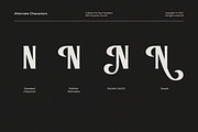 Lioney Upright, a Font by A.Budianto (Thumbnail 8 of 9)