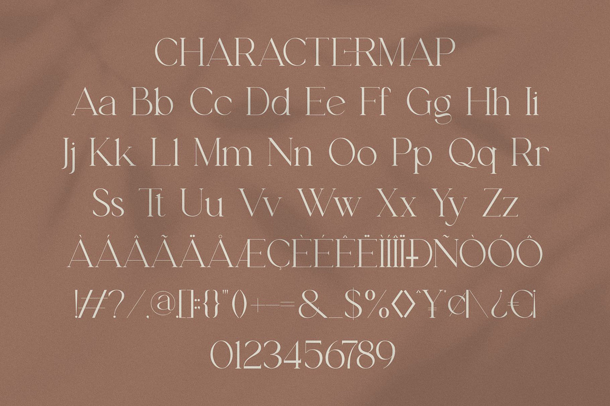Metore Avealin || Minimalist Serif, a Serif Font by Ermedia Studio (Photo 10 of 10)