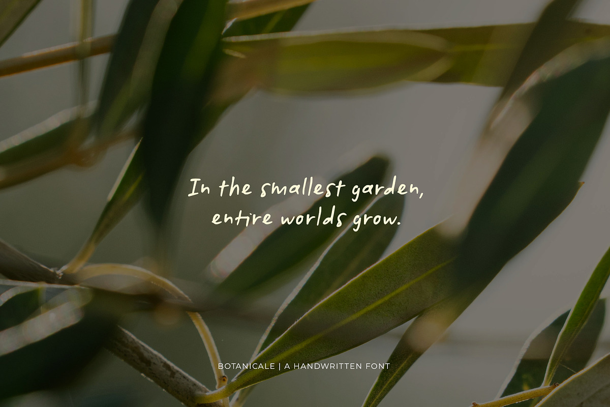 Botanicale | Handwritten Font, a Handwritten Font by type peace (Photo 8 of 18)