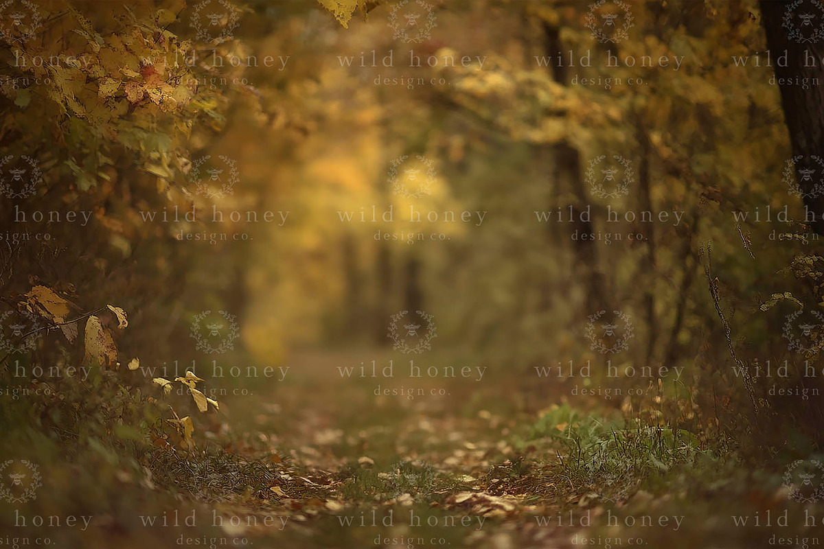 Woodland Path Digital Backdrop, a Layer Style Add-On by Wild Honey Design Co. (Photo 2 of 2)
