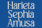 CS Giova Stamp, a Serif Font by Craft Supply Co. (Thumbnail 3 of 8)