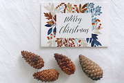 Winter Botany Set, a Decorative Illustration by Helga Wigandt (Thumbnail 9 of 10)