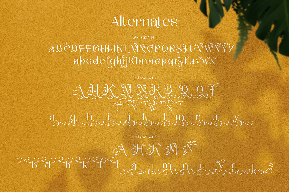 The Munday Typeface, a Sans Serif Font by alit design (Photo 7 of 15)