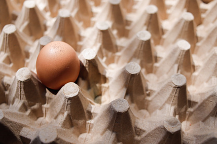 Fresh organic panel eggs on sackclot, a Food & Drink Photo by bastera
