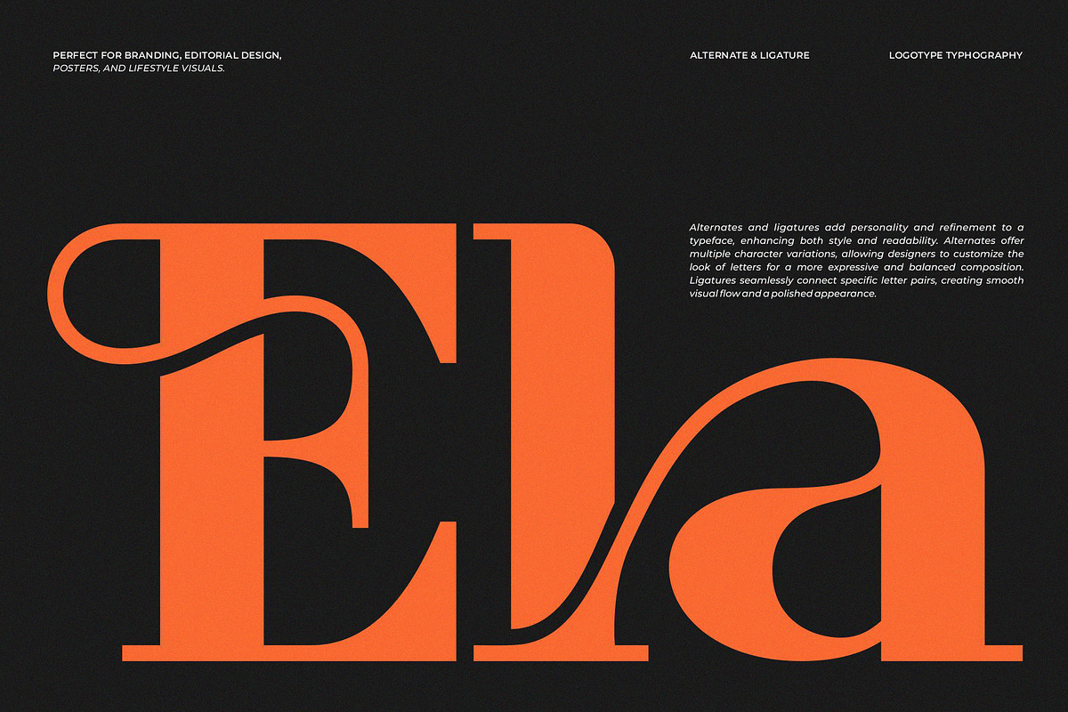 Ficrom || Modern Retro Serif Font, a Serif Font by Ermedia Studio (Photo 2 of 10)