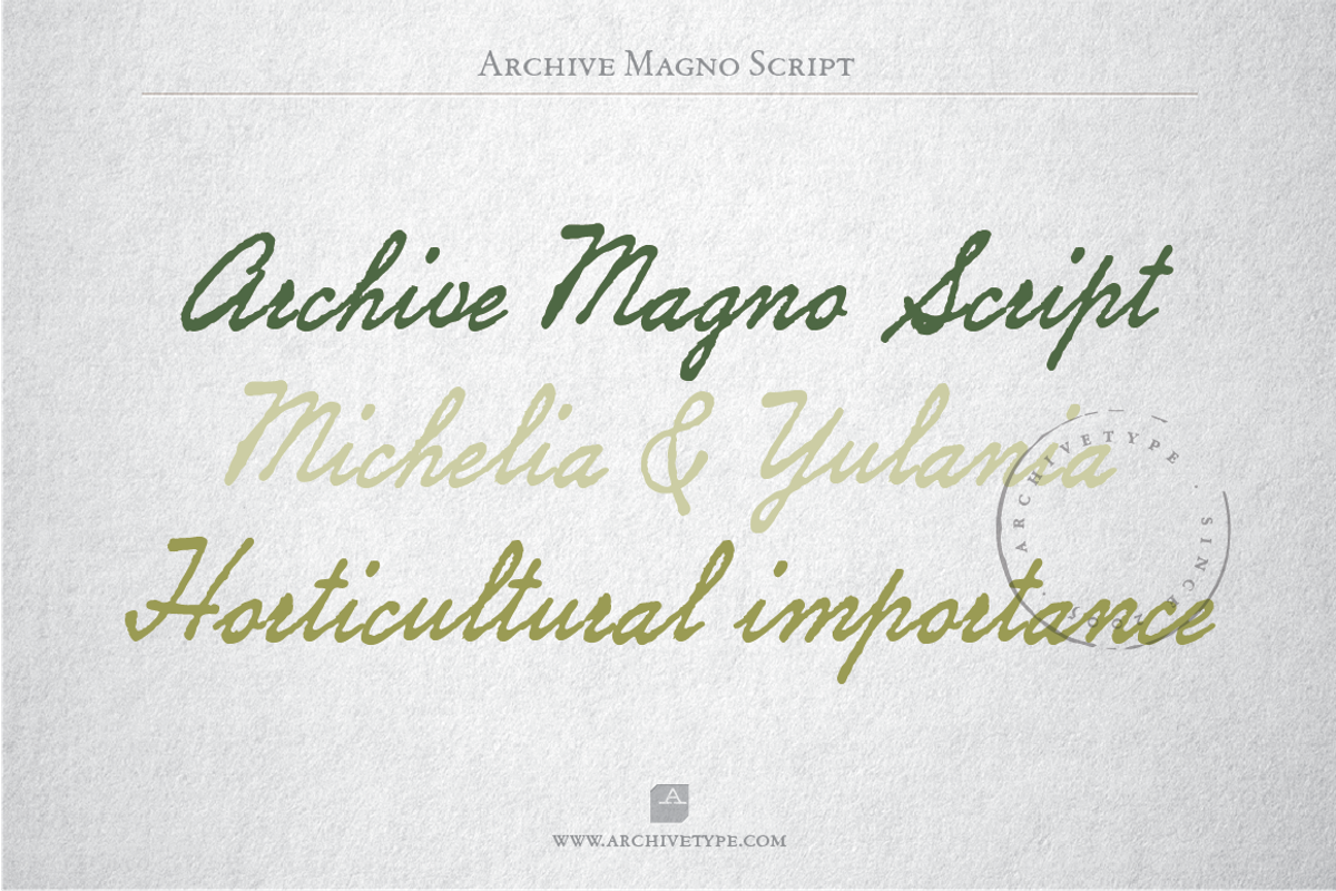 Archive Magno Script
