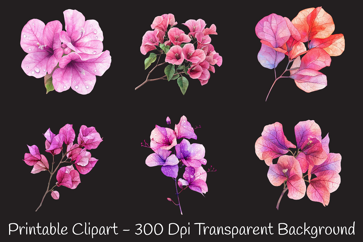 Bougainvillea Flower Watercolor PNG, a Seasonal Illustration by RobertsArt (Photo 7 of 7)