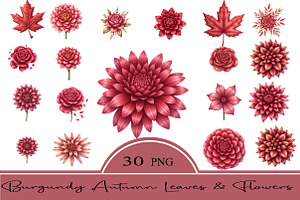 Burgundy Autumn Leaves & Flowers, an Illustration by CrexoraLab