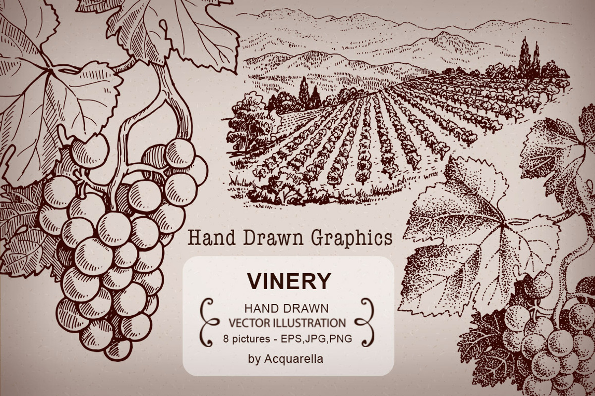 VINERY Graphic illustrations set, an Illustration by Acquarella (Photo 1 of 2)