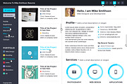 Tiny - Online Professional Resume PS, a Websites & App Template by MustacheThemes (Thumbnail 2 of 5)