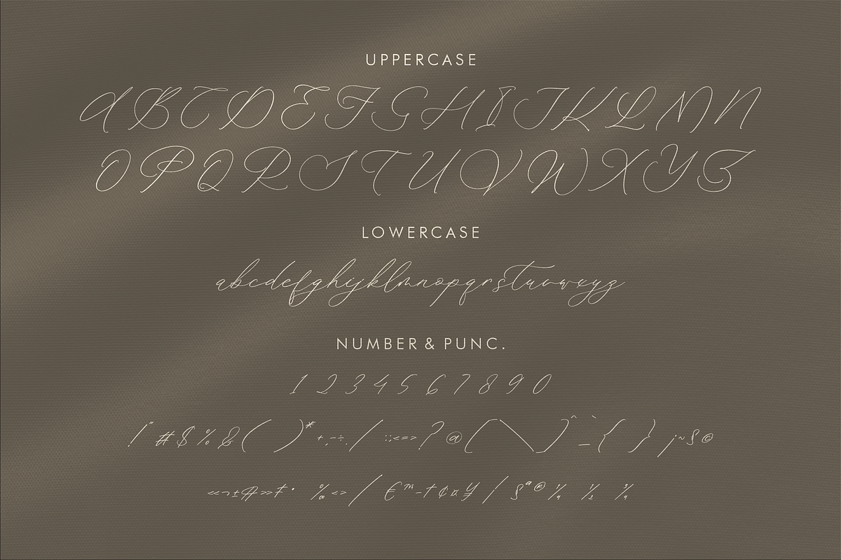 Waittelian Grolinda, a Script Font by Storytype Studio (Photo 13 of 15)