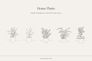 House Plant-Vector Illustration Pack, an Illustration by Lovendear Design