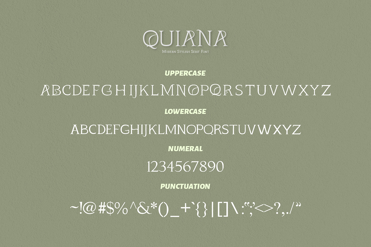 Quiana Serif, a Serif Font by Alphaleonis_std (Photo 9 of 9)