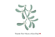 Set of Mistletoe Branch Elements, an Object Graphic by Toltemara (Thumbnail 3 of 3)