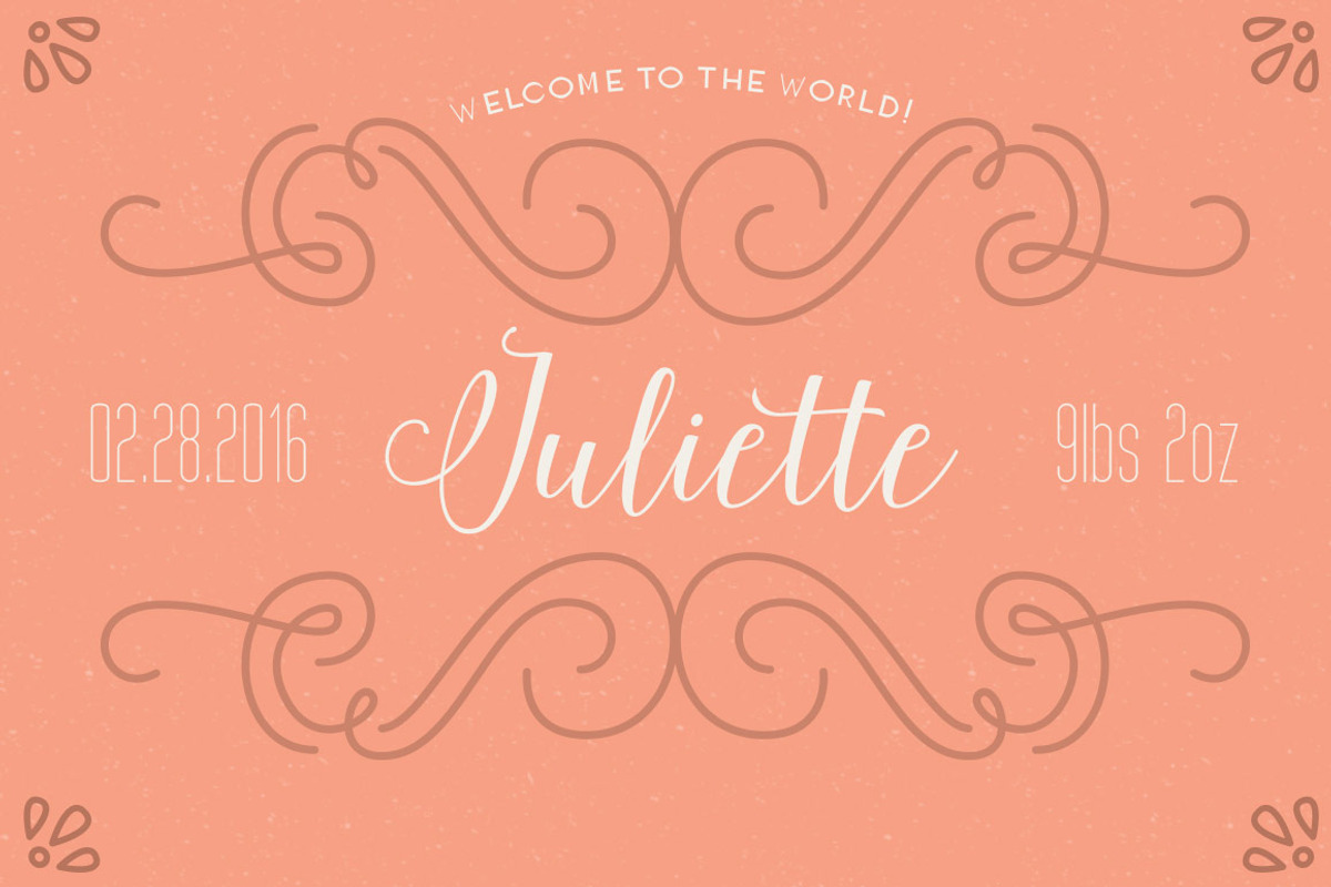 Vector Flourishes and Frames, a Decorative Illustration by Every Tuesday (Photo 2 of 5)
