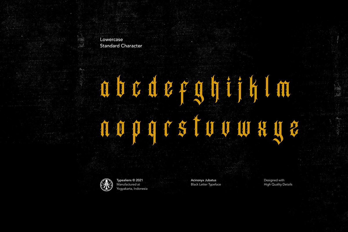 Acinonyx Jubatus, a Blackletter Font by ilhamtaro (Photo 7 of 10)