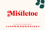 Mogan Serif Font + Extras, a Font by Heritage Type Co. (Thumbnail 10 of 16)