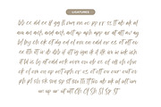 Bestovy Wisher Modern Handbrush Font, a Script Font by stylishtype.co (Thumbnail 14 of 15)