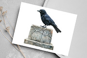 Watercolor Antique Halloween Clipart, an Illustration by Canvas Craft (Thumbnail 4 of 7)