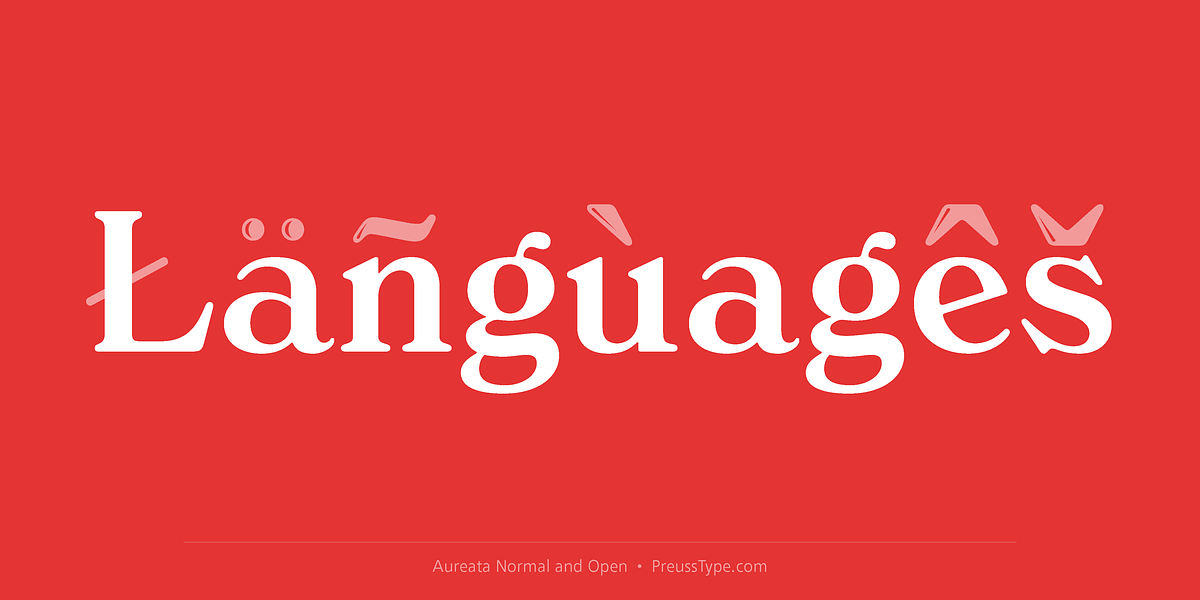 Aureata, a Serif Font by preussTYPE (Photo 5 of 10)