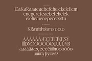 Casselin Modern Serif Font, a Serif Font by Letterena Studios (Thumbnail 14 of 15)