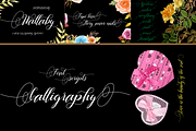 THE COLLECTION BUNDLE, a Script Font by danti (Thumbnail 30 of 31)