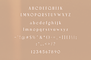 Pioneer Boulevard Typeface, a Serif Font by HipFonts (Thumbnail 2 of 12)