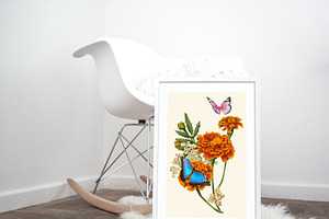 6 Floral Illustrations Art Posters