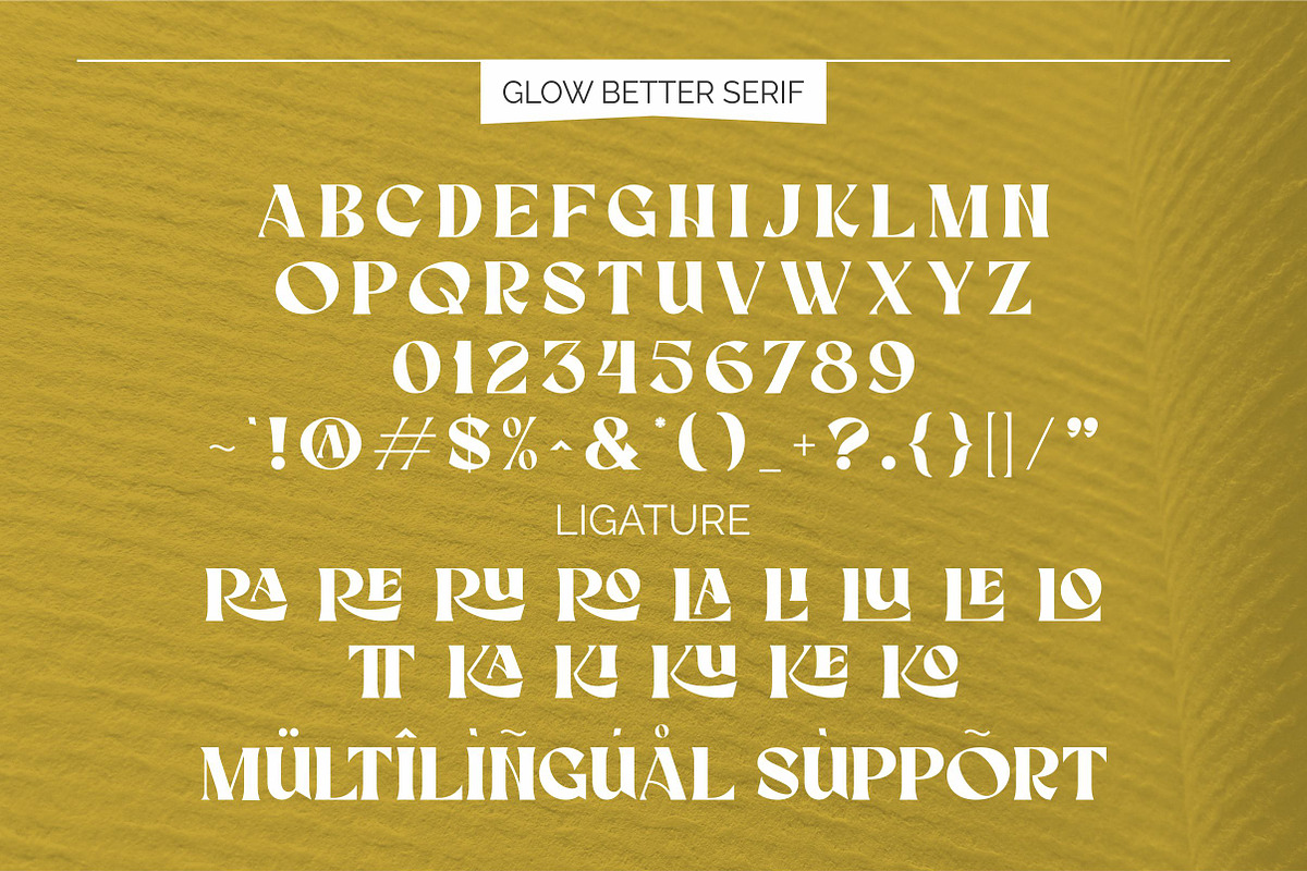 Glow Better - Modern Font Duo, a Serif Font by ErgibiStudio (Photo 11 of 13)