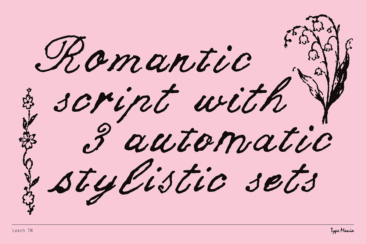 Leech TM – Romantic Script, a Script Font by Type Mania (Photo 2 of 10)