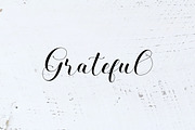 Blessed Youth Script, a Script Font by Artic Type (Thumbnail 9 of 9)