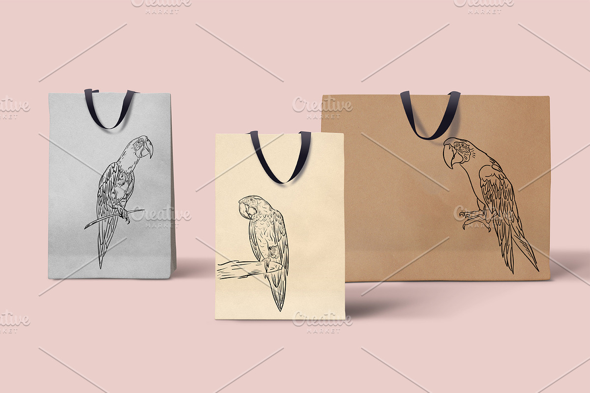 Birds bundle, an Animal Illustration by IPVector (Photo 4 of 6)