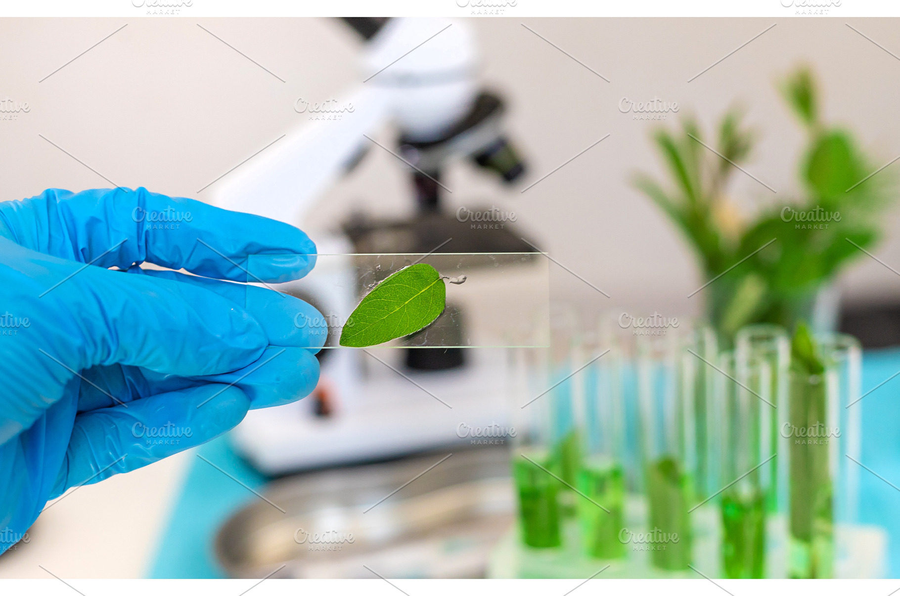 Research of plants in the laboratory, a Technology Photo by yanadjana