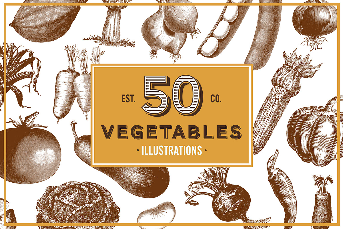 Vegetables Vintage Illustrations, an Illustration by hypegraphic (Photo 1 of 4)