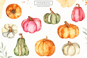 Pumpkins Watercolor Collection