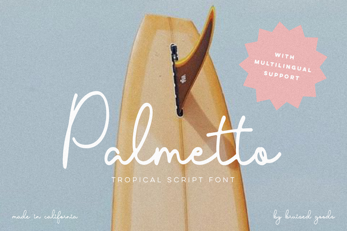 Palmetto, a Script Font by Bruised Goods (Photo 1 of 12)