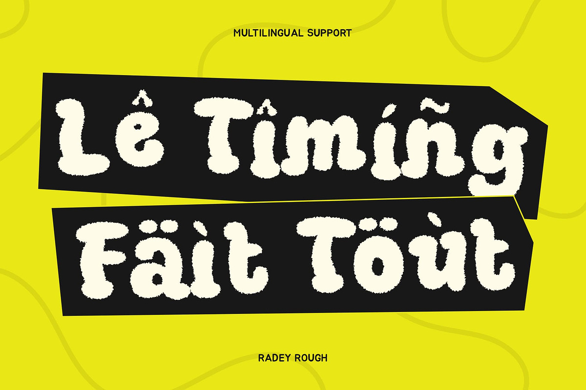 Radey Rough, a Serif Font by Craft Supply Co. (Photo 4 of 8)