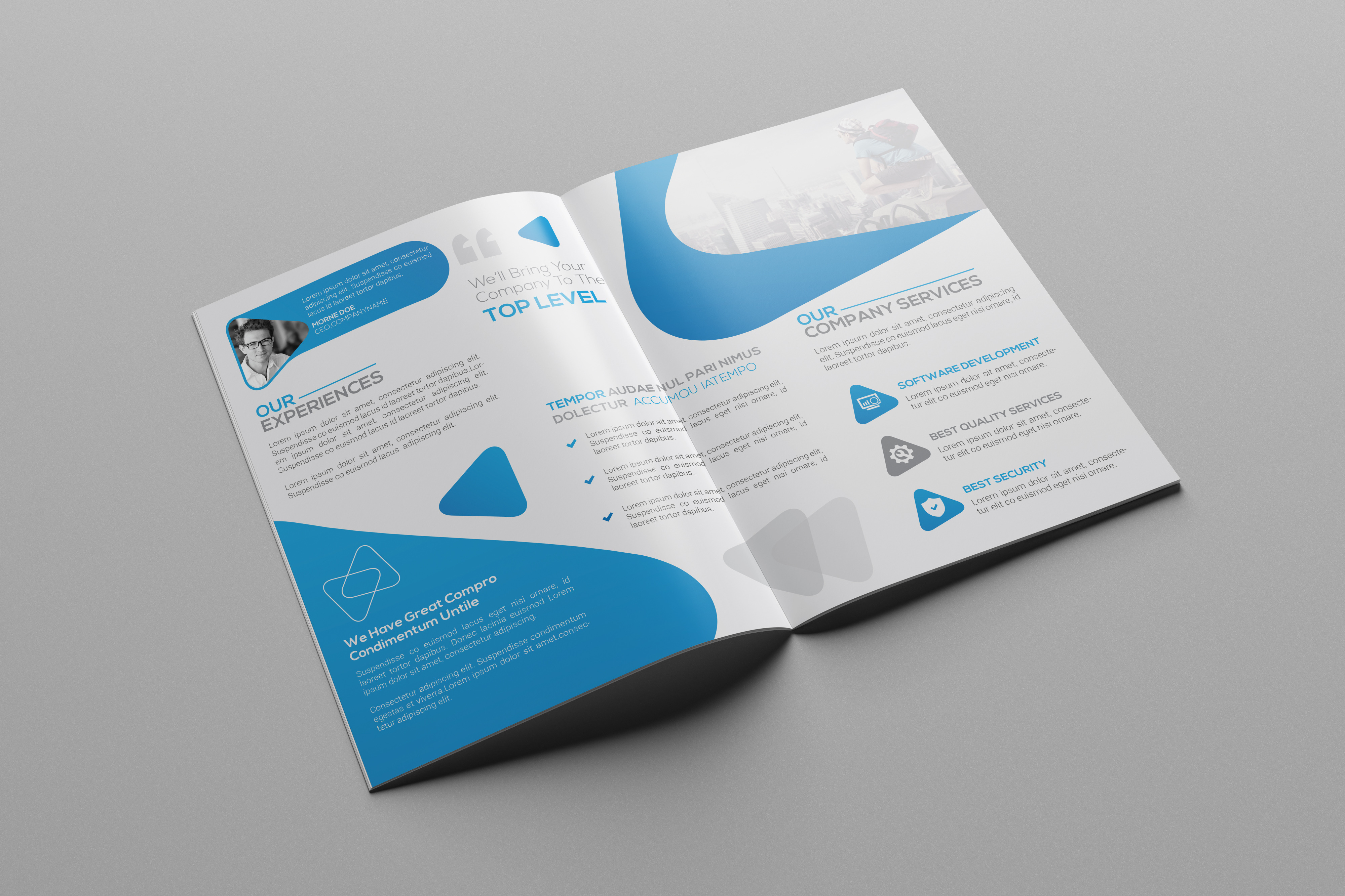 Business Brochure Template, a Brochure Template by Cristal Pioneer