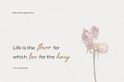 Better Grade Modern Signature Font, a Script Font by Heinzel Std (Thumbnail 21 of 24)