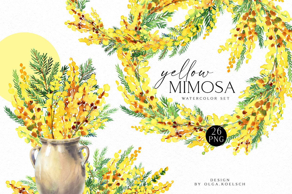 Yellow Mimosa Sunshine, an Illustration by Olga Koelsch (Photo 1 of 7)