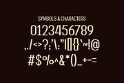 Soenir - Modern Display Font, a Sans Serif Font by lelevien (Thumbnail 2 of 4)